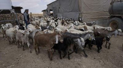 Palestinians Facing Eviction by Israel Vow to Stay on Land