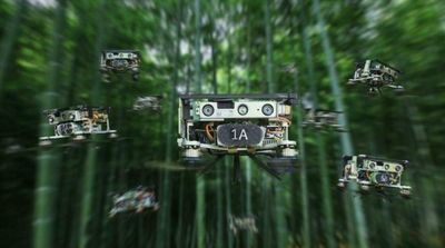 Drone Swarms Can Now Fly Autonomously through Thick Forest