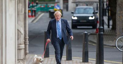 Boris Johnson 'dumps animal cruelty pledges' from Queen's Speech to please right-wingers