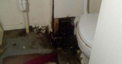 Man who's had raw sewage seep into home for a year says it's 'worse than being homeless'