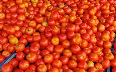 Andhra Pradesh: Tomato prices unnerve consumers touch ₹60 a kg