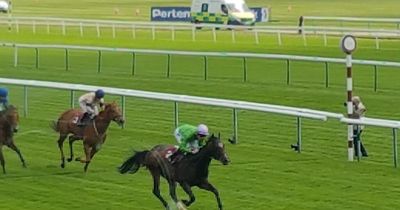 Brad The Brief wins the Conditions Stakes at Haydock Park