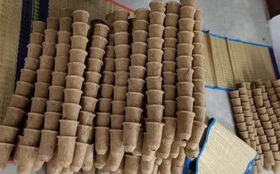 Coir pith pots to replace plastic bags in Forest Dept., nurseries