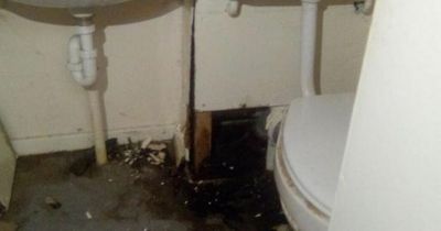 'Raw sewage has been leaking into my home for a YEAR - it's worse than being homeless'