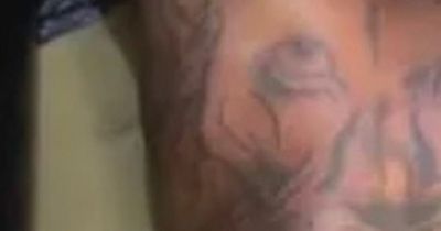 Man gets huge lion tattoo that looks like 'Mufasa after the stampede'