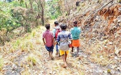 Tribal kids exploited in plantations near Nilambur
