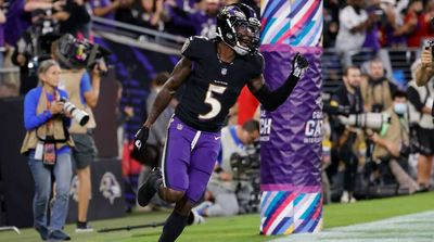 Ex-Ravens WR Marquise Brown Excited For New Role With Cardinals