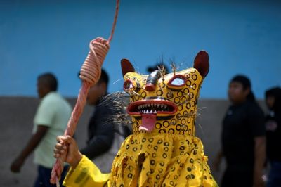 Mexican tiger fight ritual draws blood to bring rain