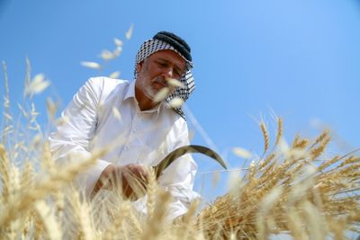 Between searing drought and Ukraine war, Iraq watchful over wheat