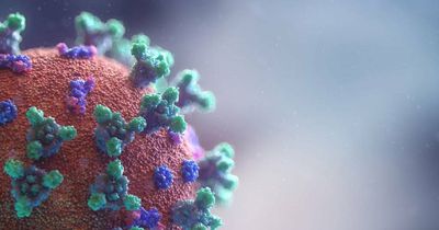 Hunter New England remains district with highest daily COVID-19 case number