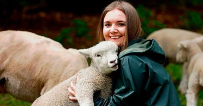 Classical pianist gave it up to become a farmer in Wales