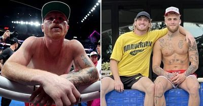 Logan Paul calls on Canelo Alvarez to fight brother Jake after surprise defeat