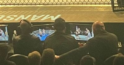 Dana White pictured watching Canelo Alvarez during "most boring UFC fight ever"