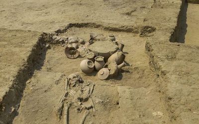 DNA samples from Rakhigarhi burial pits sent for analysis