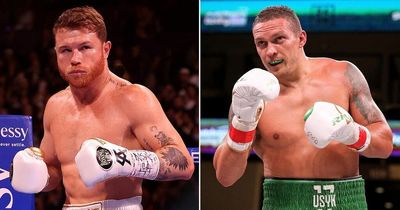 Boxing fans fear Oleksandr Usyk would "destroy" Canelo Alvarez after defeat