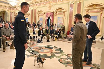 Ukraine's mine sniffing dog Patron awarded medal by Zelenskiy