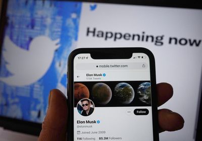 ‘Very worst’ banned Twitter trolls rear up amid Elon Musk buyout bid