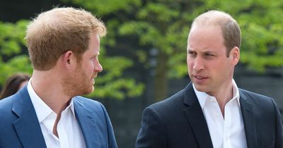 Prince William 'worries Harry will use details of Jubilee chats for Netflix show'