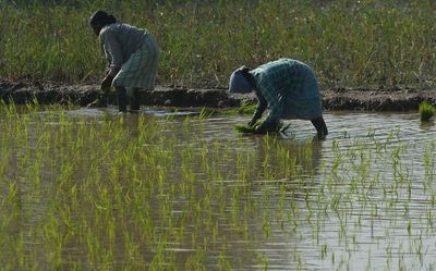 Telangana latest news developments today