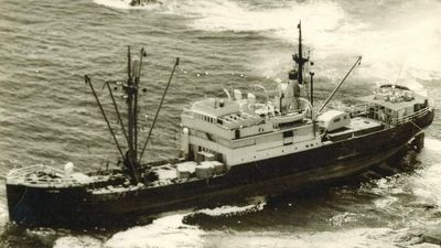 South Australia WWII shipwreck of Yandra cargo vessel visited by diver Steve Saville