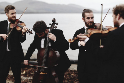 Music lovers care more about the planet, study finds