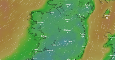 Met Eireann weather forecast heavy rain and gusty winds to batter Dublin