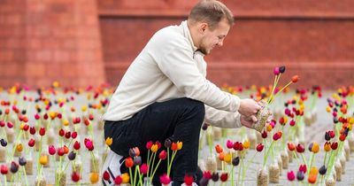 The reason why thousands of tulips were left covering Cardiff Bay