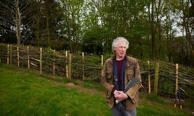 A new start after 60: ‘I took up hedgelaying at 65 and discovered a hidden connection with my father’