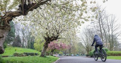 Liverpool weather: Sunny spells set to break up week of showers