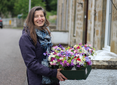 Difficulty of getting allotments to be explored by Scottish Parliament