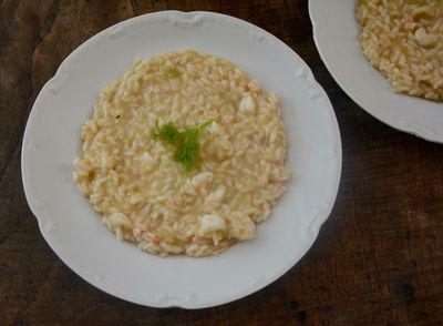 Rachel Roddy’s recipe for prawn, fennel and lemon risotto