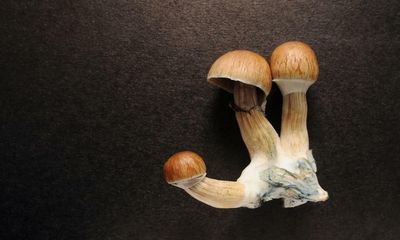 Europe’s first psychedelic drug trial firm to open in London