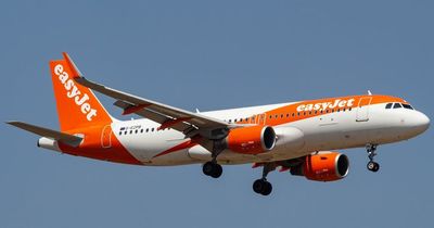 EasyJet flight forced to return to Glasgow airport after 'hitting bird'