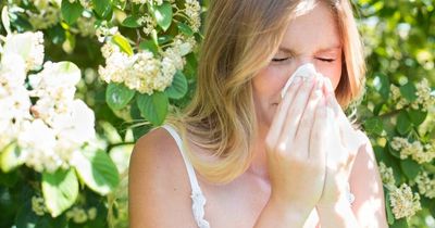 UK facing shortage of hay fever tablets as Boots runs out of stock after pollen warning