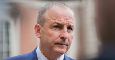 Taoiseach Micheal Martin says Government 'pressing ahead' with National Maternity Hospital plan