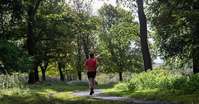 Full list of Phoenix Park road and gate closures as part of Irish Runner 5K