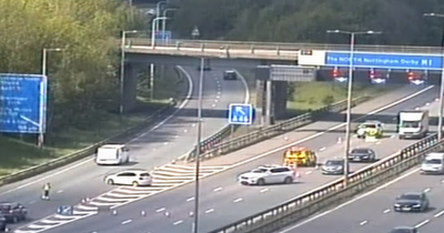 Woman dies in M1 tree crash that shut road for hours