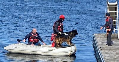 Dogs’ search skills put to the test in the Stewartry