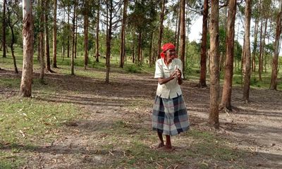 A story of 90,000 trees: how Kenya’s Kipsigis brought a forest back to life