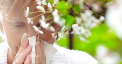 How to tell if you have hay fever - the symptoms to look out for and treatment