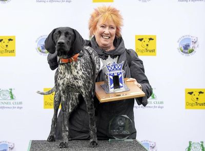 Meet Mabel, Holyrood's Dog of the Year 2022