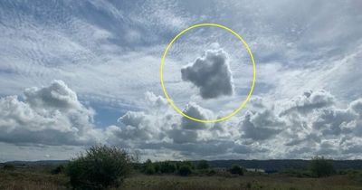 Bereaved dog owner spots 'face of beloved westie' in clouds at beauty spot