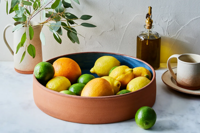 How to finally get rid of gnats