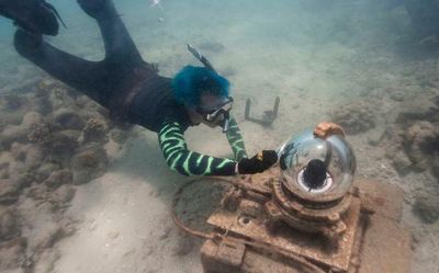 Coral reefs provide stunning images of a world under assault