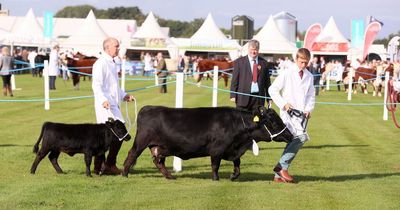 Balmoral Show 2022: Where is the agri-food event taking place?