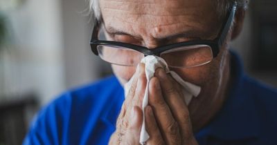 Hayfever sufferers urged to cut five food and drinks out of their diet to relieve symptoms