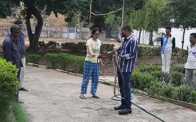 Snakes found in SP’s residence