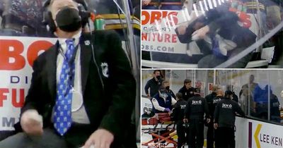 Ice hockey official hospitalised after bizarre incident saw pane of glass smash him on head