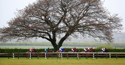 Racing tips: Newsboy's Tuesday nap and picks from five meetings, including at Beverley, Chepstow and Newcastle
