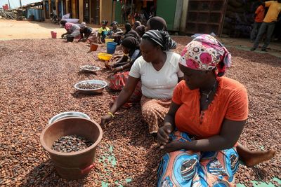 EU lawmakers call for pact on cocoa prices with Ivory Coast and Ghana